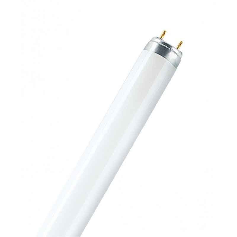 120cm Osram LED T8 G13 Röhre MOTION SENSOR 13,1W wie 36W 4000K neutralweiß  EM Glas