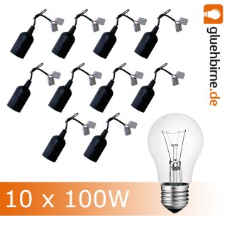 10 x Glühlampe 100W klar + 10 x Baufassung Lampenfassung Wago Glühbirnen Glühlampen 100 Watt