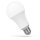Spectrum LED Leuchtmittel Birnenform 18W = 120W E27 matt 1800lm Tageslichtweiß 6000K 220°