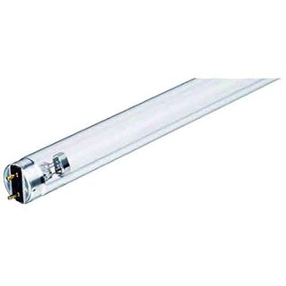 Philips Leuchtstofflampe UVC Lampe Transparent 300mm 8W T5 UV-C Entkeimung