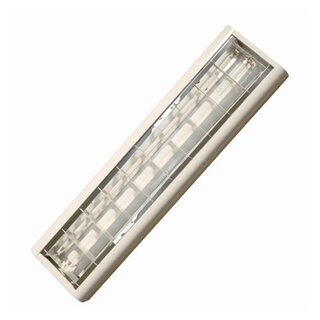 Ritos Raster Deckenleuchte Biz Büroleuchte 1 x 36W T8 Leuchtstofflampe 3010lm Tageslicht 8000K