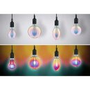 Paulmann LED Leuchtmittel Globe G125 Fantastic Colors 5W = 40W E27 470lm warmweiß 2700K dimmbar