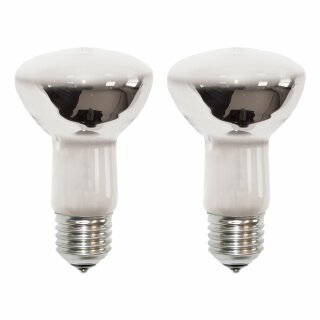 2 x GoOn Reflektor Glühbirne R63 60W E27 matt Spot Glühbirne 60 Watt Glühlampe