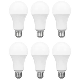 6 x Spectrum LED Leuchtmittel Birnenform 18W = 120W E27 matt 1800lm Tageslichtweiß 6000K 220°