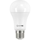 LightMe LED Leuchtmittel Classic E27 Birnenform 12,5W =...