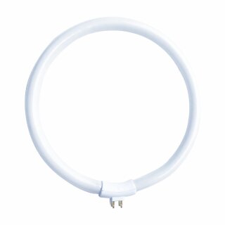 Leuchtstofflampe Ring Röhre T4 22W/865 kaltweiß 6500K Tageslicht G10q außen 4 Pins