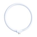 Leuchtstofflampe Ring Röhre T4 22W/865...