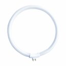 Leuchtstofflampe Ring Röhre T4 22W/865 kaltweiß 6500K Tageslicht G10q außen 4 Pins