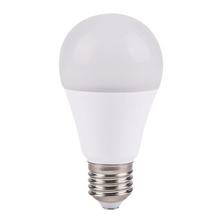 LED Leuchtmittel Birnenform A60 9W = 60W E27 matt 850lm kaltweiß 6500K Tageslicht