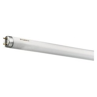 Sylvania Leuchtstoffröhre Luxline Plus Fluoreszent 60cm 18W/865 G13/T8 1300lm Kaltweiß 6500K Tageslicht