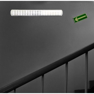 Ranex LED Akku Sicherheitsleuchte IP20 3,42W 160lm aufladbar Halterung