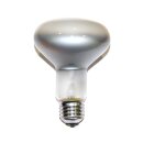 Bellight Glühbirne Reflektor Spot R80 75W E27 matt...