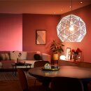 Phillips Smart LED Leuchtmittel Hue Ambiance White & Color 2er Set 10,6W E14 470lm 2000-6500K Warmweiß-Kaltweiß