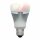 WiZ Smart LED Leuchtmittel Birnenform 11,5W = 60W E27 matt 806lm RGBW WiZapp Google Alexa WiFi