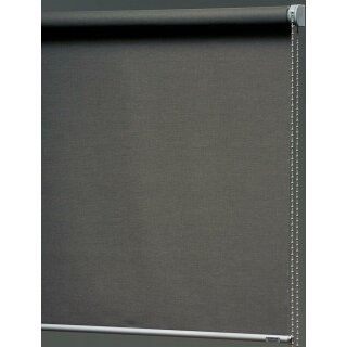 Schöner Wohnen 8009 Rollo Siena 90cm x 190cm Rollrollo Jalousie anthrazit lichtdurchlässig PX001