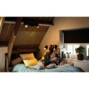 Philips LED Strahler Spot Hue White Ambiance Weiß 5,5W GU10 350lm 2200-6500K Dimmbar App Amazon Alexa mit Dimmschalter