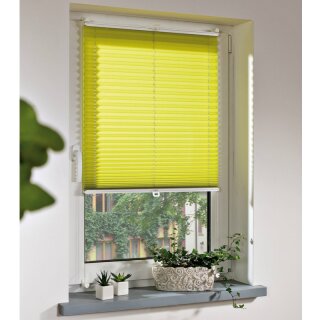 Liedeco Klemmfix Plissee für Fenster 90cm x 130cm Apfelgrün PX001
