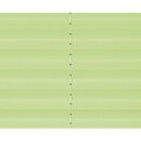 Liedeco Klemmfix Plissee für Fenster 90cm x 130cm Apfelgrün PX001