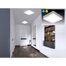 Näve LED Deckenleuchte Dimplex 17x17cm Weiß 12W 1020lm Warmweiß 3000K dimmbar