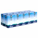 10 x Leuci Glühbirne Tropfen 40W E14 Opal Weiss MATT...