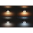 Philips LED Pendelleuchte Fair Hue White Ambiance 39W 3000lm 2200-6500K Dimmbar App Amazon Alexa mit Dimmschalter