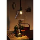 Philips Pendelleuchte myLiving Westburry Glas Klar max. 60W E27 ohne Leuchtmittel kürzbar