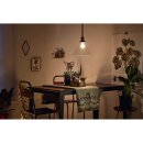 Philips Pendelleuchte myLiving Westburry Glas Klar max. 60W E27 ohne Leuchtmittel kürzbar
