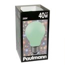 Paulmann Glühbirne 40W Softone Grün 40 Watt E27 Glühlampe Glühbirnen Glühlampen 400.50