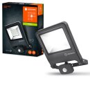Ledvance LED Fluter Endura Dunkelgrau IP44 50W 4500lm Neutralweiß 4000K Bewegungsmelder