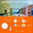 Ledvance LED Smart+ Panel Planon Frameless Weiß Ø30cm 20W 2400lm RGBW 3000K-6500K Dimmbar App Google Alexa WiFi