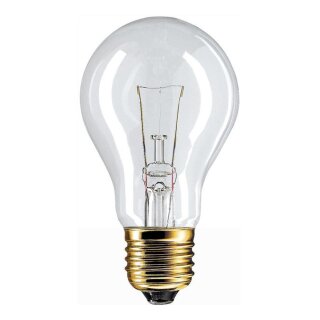 Philips Glühbirne Birnenform A60 60W E27 klar 970lm Glühlampe warmweiß 2700K dimmbar SONDERSPANNUNG 24V