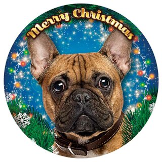 Plenty-Gifts LED Weihnachtsbeleuchtung RGB French Bulldog Ø20,5cm für 3 x AAA Batterie