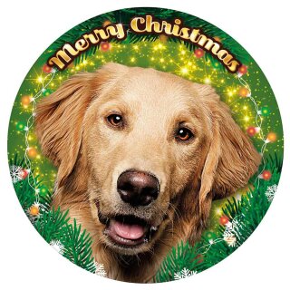 Plenty-Gifts LED Weihnachtsbeleuchtung RGB Golden Retriever Ø20,5cm für 3 x AAA Batterie