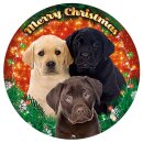 Plenty-Gifts LED Weihnachtsbeleuchtung RGB Labrador...