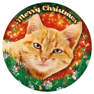 Plenty-Gifts LED Weihnachtsbeleuchtung RGB Orange Tabby Ø20,5cm für 3 x AAA Batterie