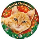 Plenty-Gifts LED Weihnachtsbeleuchtung RGB Orange Tabby...