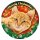 Plenty-Gifts LED Weihnachtsbeleuchtung RGB Orange Tabby Ø20,5cm für 3 x AAA Batterie