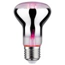 Paulmann LED Filament Reflektor R63 6,5W E27 200lm 1300K...