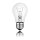 1 x Philips Glühbirne 60W E27 klar Glühlampe 60 Watt Glühbirnen Glühlampen