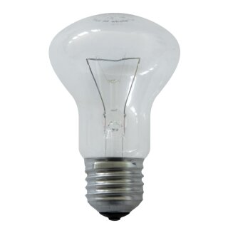 1 x Glühbirne 100W E27 klar Glühlampe 100 Watt Krypton Glühbirnen Glühlampen Leuci