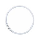 Osram Leuchtstofflampe T5 FC 55W 830 Circline Ring...