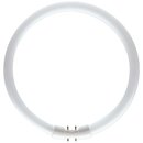 Philips Master Leuchtstofflampe TL5 22W 830 Circular Ring...