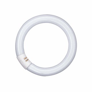 Osram Leuchtstofflampe T9 L 32W 840 C G10q Ringform Lumilux Cool White (alt 32W/20-640)