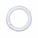 Osram Leuchtstofflampe T9 L 32W 840 C G10q Ringform...