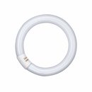 Osram Leuchtstofflampe T9 L 32W 840 C G10q Ringform...