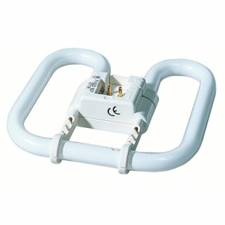 Paulmann Energiesparlampe Kompaktleuchtstofflampe 2D 16W GR8 Warmweiß 2700K