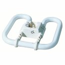 Paulmann Energiesparlampe Kompaktleuchtstofflampe 2D 16W...