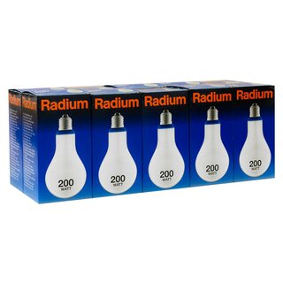10 x Radium Glühbirne A80 Kolben 200W E27 MATT 3040lm warmweiß Glühbirnen Glühlampen dimmbar