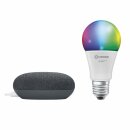 Ledvance LED Smart Home Starter Set Google Nest Mini Schwarz + LED Birne A60 8,5W E27 matt 800lm RGBW 2700K-6500K Dimmbar App Google Bluetooth