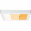 Paulmann LED Aufbau Panel 30x30cm Carpo weiß matt WarmDim 16W 1400lm Lichtfarbe regelbar 2300K 2500K 3000K